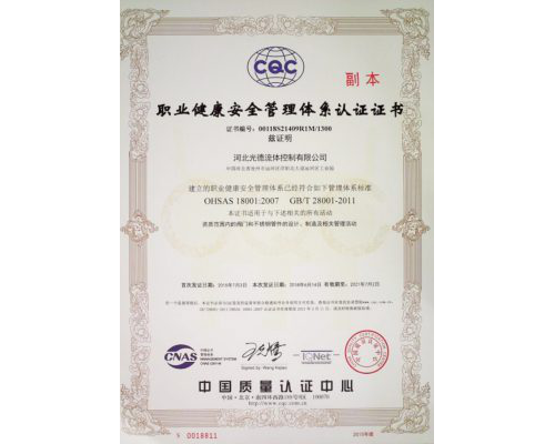 OHSMS Certificate